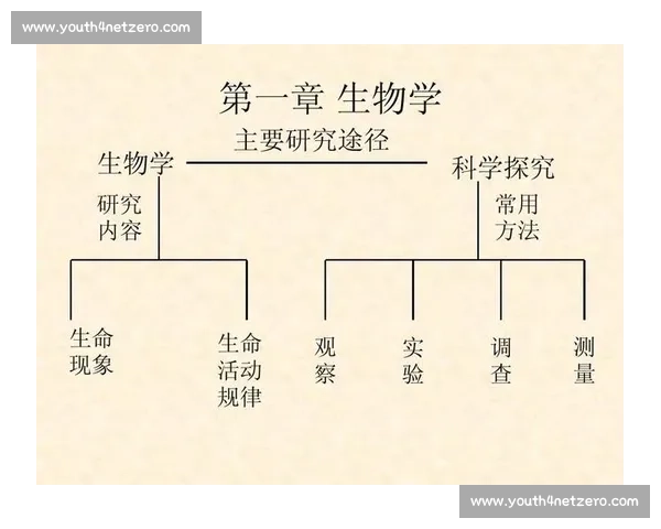 以碰撞为中心的科学探索：揭示物理、化学与生物系统中碰撞现象的深刻意义