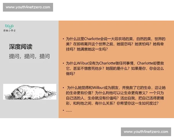 以仰跳投为核心技战术探讨及其在篮球比赛中的应用价值分析